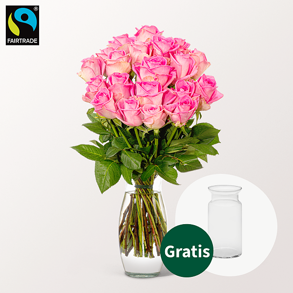 20 pinke Fairtrade Rosen im Bund mit Vase