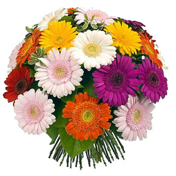 Bouquet of gerberas