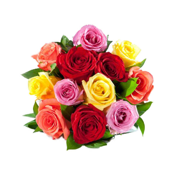 Mixed Coloured Roses