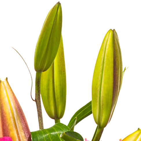Trauerkranz mit rosa Lilien