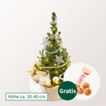 Weihnachtsbaum Sternenglanz mit Lichterkette mit Ferrero Giotto 3er