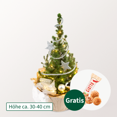 Weihnachtsbaum Sternenglanz mit Lichterkette mit Ferrero Giotto 3er