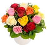 Bouquet of mixed coloured roses