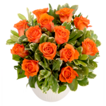 Bouquet of orange roses