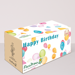 Gifting Box „Happy Birthday“