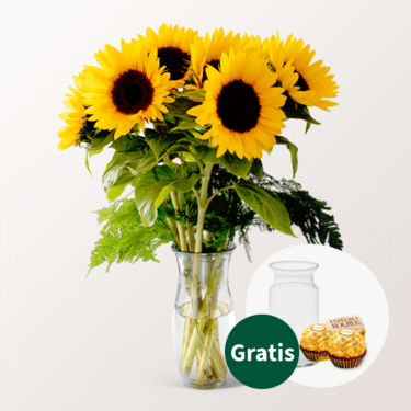 7 Sonnenblumen im Bund mit Vase & 2 Ferrero Rocher