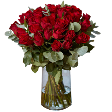 Bouquet of red roses