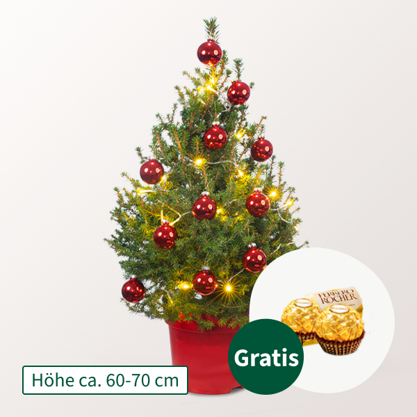 Weihnachtsbaum Little Santa mit Lichterkette & mit 2 Ferrero Rocher