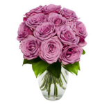 One Dozen Purple Roses