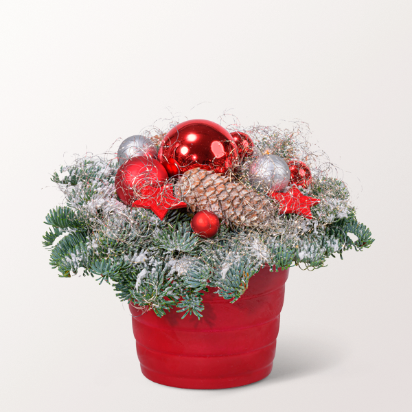 Weihnachts-Arrangement Frohe Weihnachten