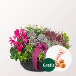 Arrangement Herbstmix mit Ferrero Giotto 3er