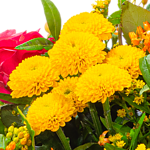 Blumenstrauß Bunter Sommer mit Vase & 2 Ferrero Rocher