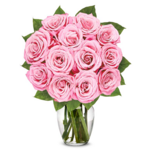 One Dozen Light Pink Roses