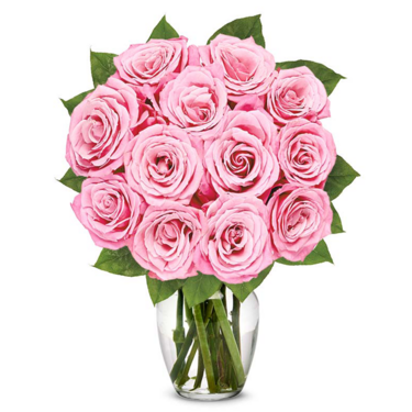 One Dozen Light Pink Roses