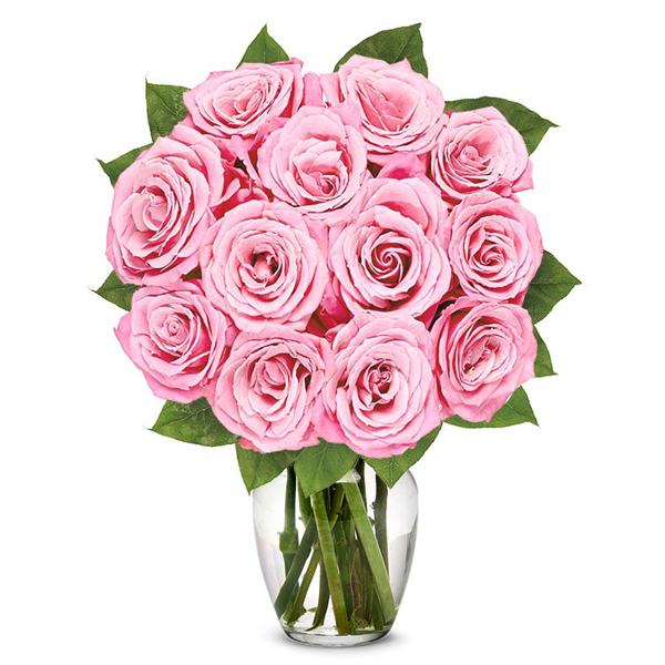 One Dozen Light Pink Roses