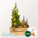 Arrangement Winterkuss mit Lichterkette & mit Ferrero Giotto 3er