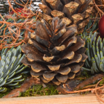 Rotes Gesteck im Holzkasten