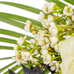 Sympathy Bouquet in White and Black