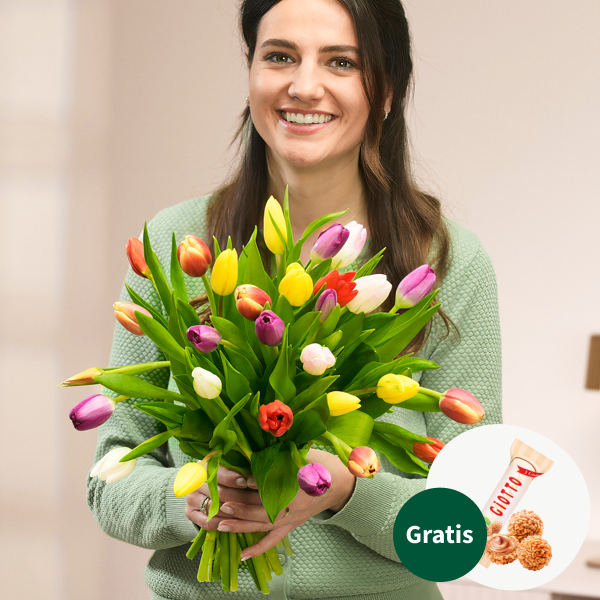 Tulpen im Bund mit Ferrero Giotto 3er