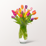 Tulips in a bunch