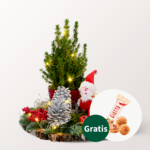 Arrangement Santa mit Lichterkette & mit Ferrero Giotto 3er