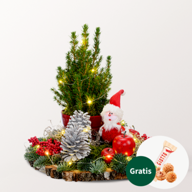 Arrangement Santa mit Lichterkette & mit Ferrero Giotto 3er