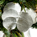 Bouquet Winterleuchten with vase & 3 Ferrero Giotto