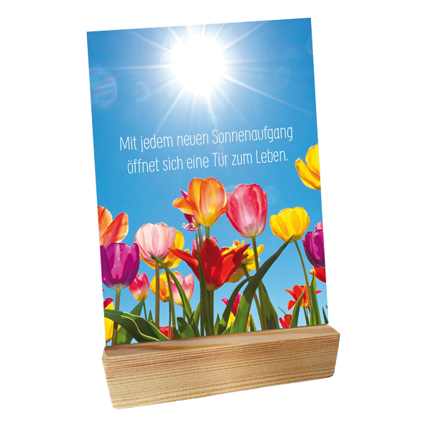 Holzständer für Postkarten - mit Jahreszeiten Postkarten