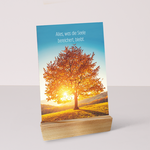 Wooden stand for postcards - with Seasons postcards