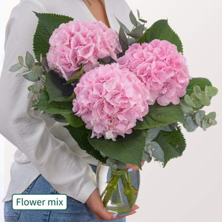 Light pink Hydrangea with eucalyptus