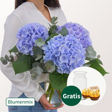 Blaue Hortensien mit Eukalyptus mit Vase & 2 Ferrero Rocher