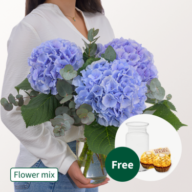 Blue Hydrangea with eucalyptus with vase & 2 Ferrero Rocher