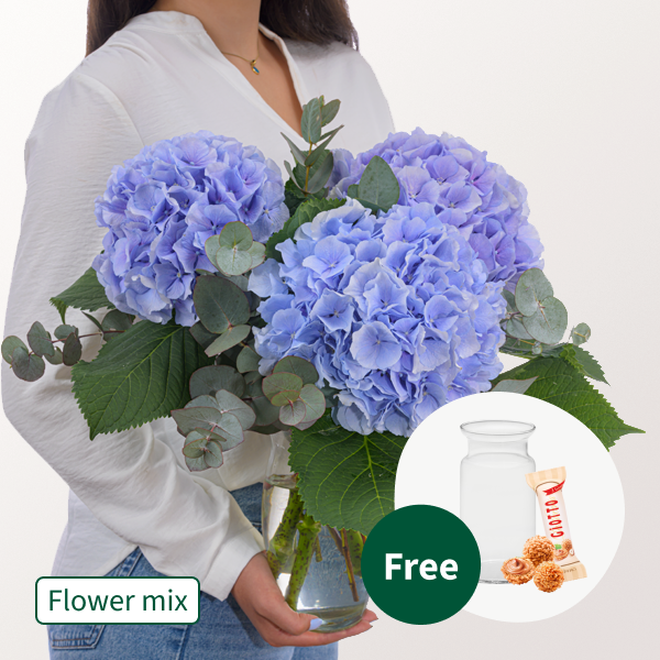 Blue Hydrangea with eucalyptus with vase & 3 Ferrero Giotto