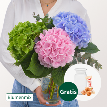 Traumhafte Hortensien mit Eukalyptus mit Vase & Ferrero Giotto 3er