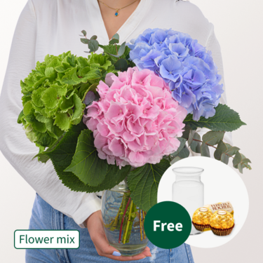 Dreamlike Hydrangea with eucalyptus with vase & 2 Ferrero Rocher