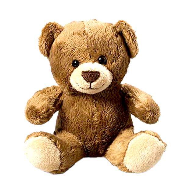 a cuddly dark teddy bear Send flowers online with FloraPrima.de