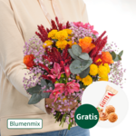 Blumenmix Blütenwiese mit Ferrero Giotto 3er