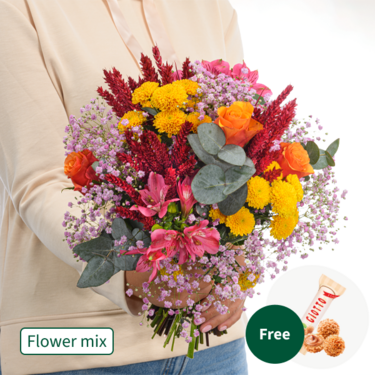 Flower Mix Blütenwiese with 3 Ferrero Giotto