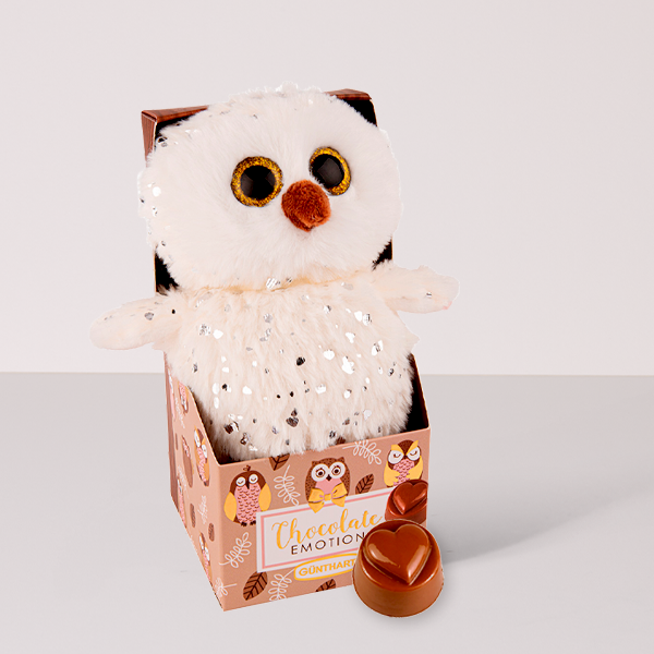 Plush Owl with Chocolates Box (18 cm)