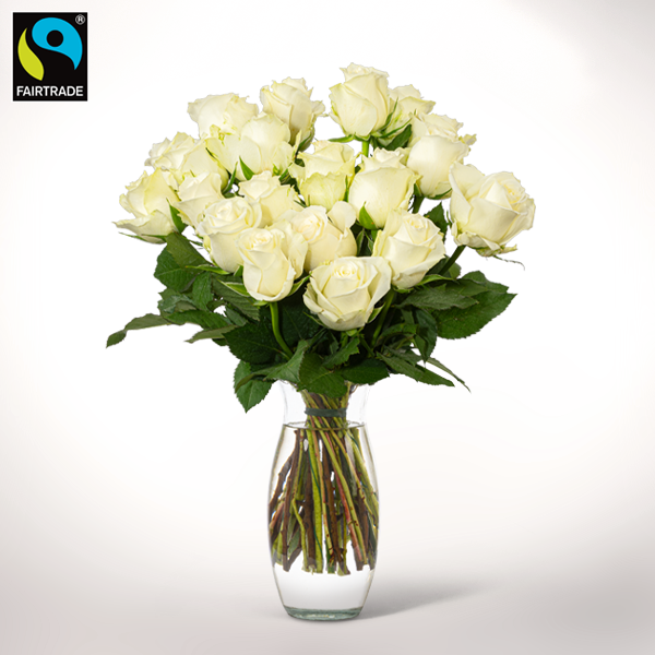 Bunch of  20 white Fairtrade roses