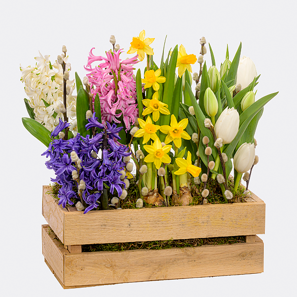 Colourful Mix flowers Send - wooden with box in online