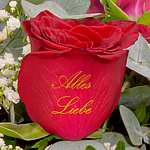 Flower Bouquet „Alles Liebe“ with vase & 2 Ferrero Rocher