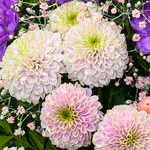 Flower Bouquet Blütentraum with vase & 2 Ferrero Rocher