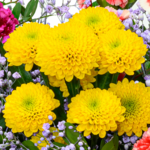 Flower Bouquet Blütenfreude with vase & 2 Ferrero Rocher