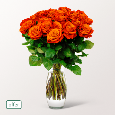 Orange Fairtrade roses in a bunch