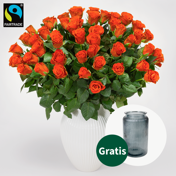 50 orange Fairtrade Rosen im Bund mit Premiumvase