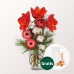 Blumenarrangement Amarylliszauber mit Vase & Ferrero Giotto 3er