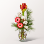 Blumenarrangement Amarylliszauber mit Vase & Ferrero Giotto 3er