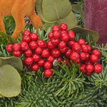 Adventskranz Winter Berry (Ø 30 cm) mit Ferrero Giotto 3er