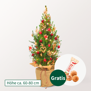 Weihnachtsbaum Weihnachtsstrahlen mit Lichterkette & mit Ferrero Giotto 3er